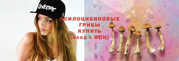 PSILOCYBIN Аркадак