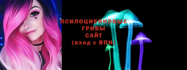 PSILOCYBIN Арсеньев