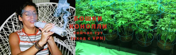 PSILOCYBIN Аркадак
