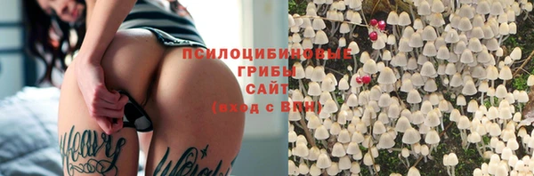 соль ск Балахна