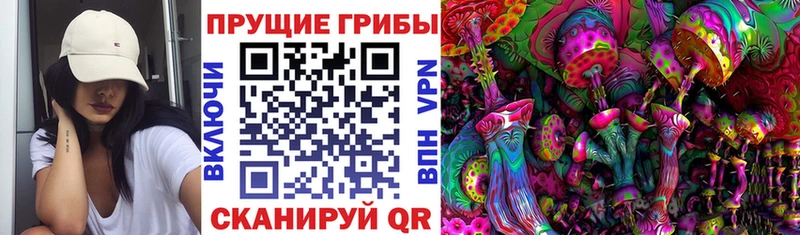 Купить  Спас-Деменск  Псилоцибиновые грибы GOLDEN TEACHER 